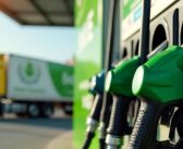 25/26 wheat and barley balances to tighten