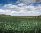 New nutrition plan launched