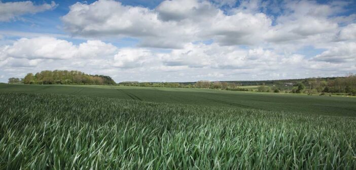 New nutrition plan launched