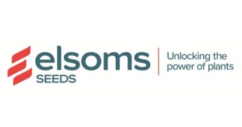 New look for Elsoms as global reach grows