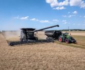 Record wheat production weighs on markets