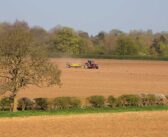 What could woodland be worth in the future?