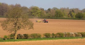 What could woodland be worth in the future?