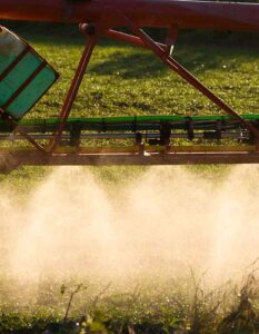 Spraying Wheat in the late Winter Sun.
