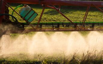Spraying Wheat in the late Winter Sun.