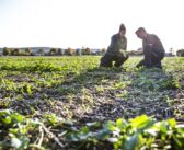Registrations open for sustainable farming innovation programme