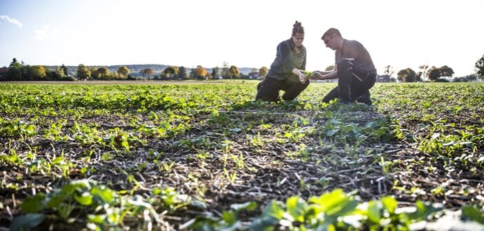 Registrations open for sustainable farming innovation programme