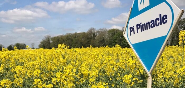 Pi Pinnacle top OSR conventional