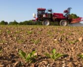 UPL introduces Easyconnect compatibility for straight sugar beet herbicides