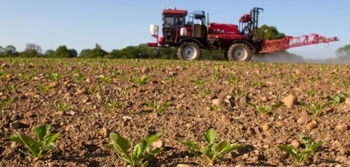 UPL introduces Easyconnect compatibility for straight sugar beet herbicides