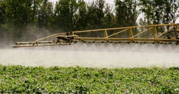 Blight control best practice needed following first UK EU43 finding