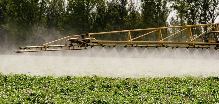 Blight control best practice needed following first UK EU43 finding