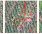 Tallis Amos Group partners with CultiWise to support smarter farming