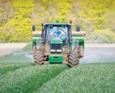 Fertiliser fears put the focus on milling wheat decisions