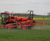 Elicitor widens early-season weather window