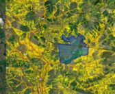 Defra funding to develop farming space and AI tech