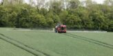 Winter wheat spraying