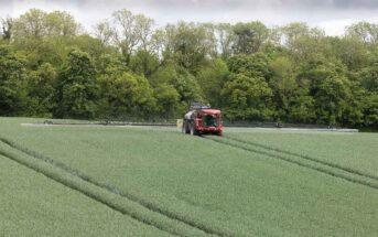 Winter wheat spraying