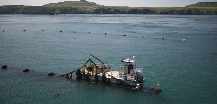 Marine biostimulant start-up to gets expansion boost