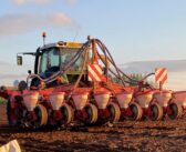 Maize drilling a matter of soil over date