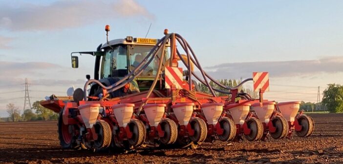 Maize drilling a matter of soil over date