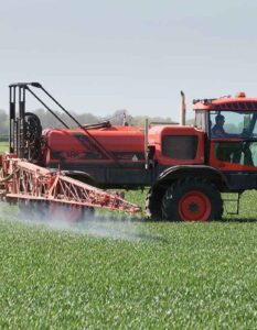 T1 application to wheat