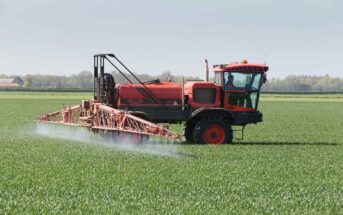 T1 application to wheat