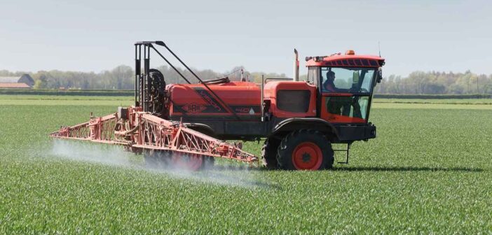 Understanding nitrogen is key to boost efficiency