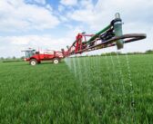 Consider late nitrogen values growers urged