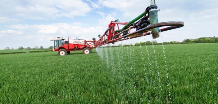 Consider late nitrogen values growers urged