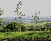 Capital Grants guidance issued