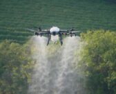 Free foliar treatment offer