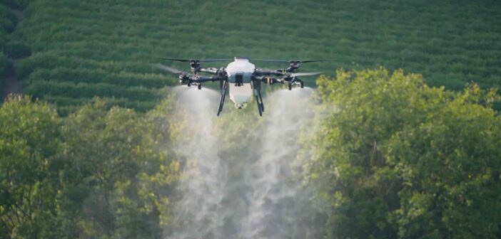 Free foliar treatment offer