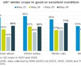 Crop conditions fall further despite wet end to May