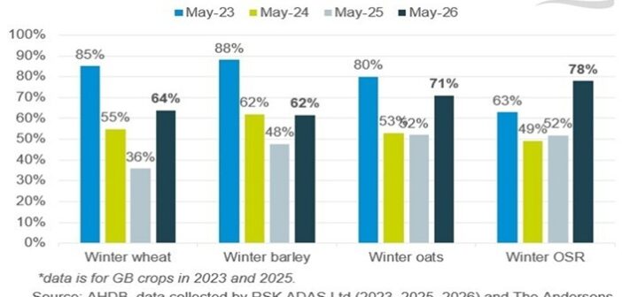 Crop conditions fall further despite wet end to May