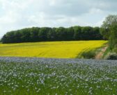 Time to partner linseed and oilseed rape growers advised
