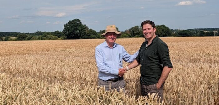 AI spin-out and F1 Seeds partner for precision-bred wheat
