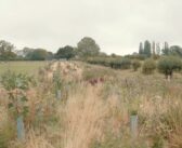 Don’t delay Capital Grants applications, Defra advises