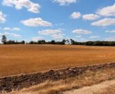 Defra boosts drought support for farmers