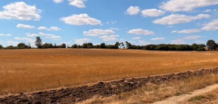 Defra boosts drought support for farmers