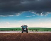 Why economics shouldn’t change grassweed plans