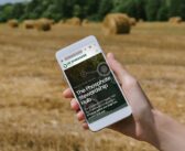 New hub helps growers identify phosphate inefficiency causes