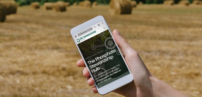 New hub helps growers identify phosphate inefficiency causes