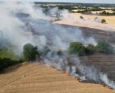NFU calls for action to reduce wildfire risk