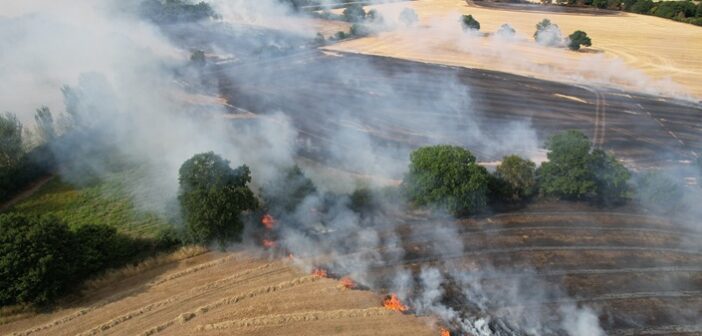 NFU calls for action to reduce wildfire risk